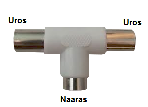 Haaroitin