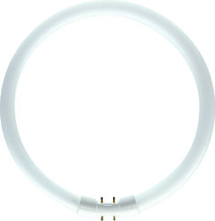 Philips TL5 Circular