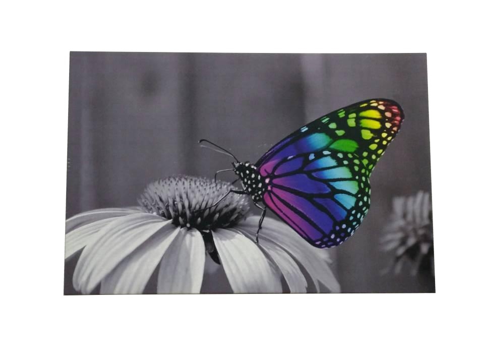 Canvas Led Valotaulu Butterfly