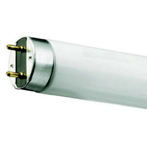 Loisteputki T8 10 W (470 mm)