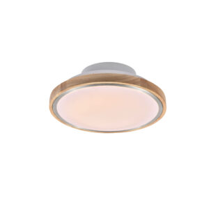 Virvatuli LED plafondi Tammi 28cm alumiini
