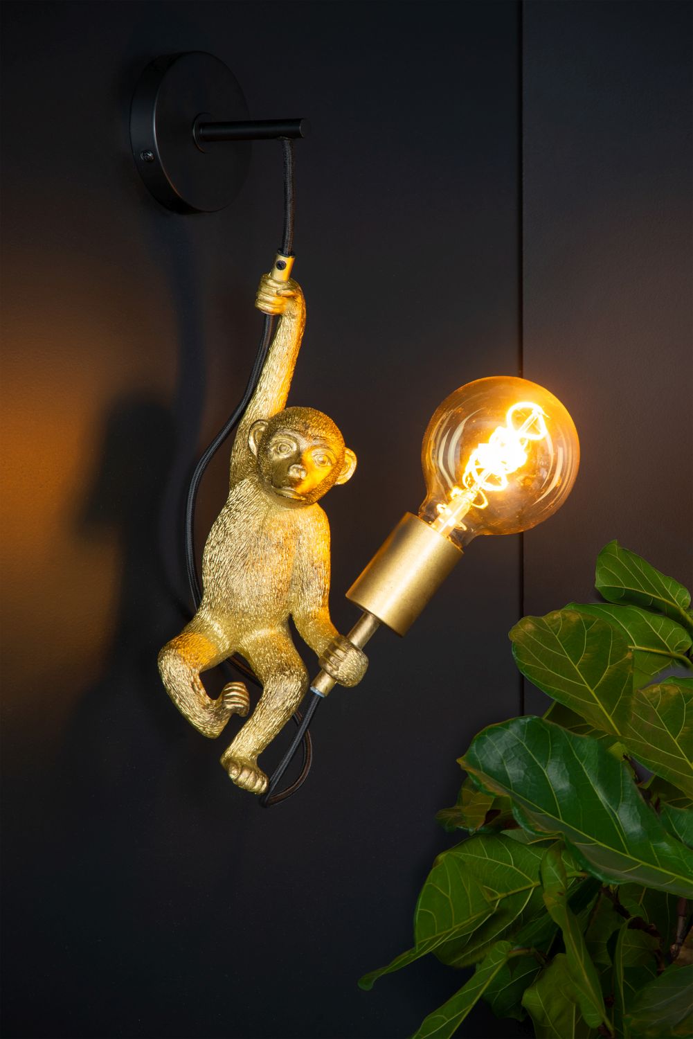 FocusLight Chimp seinävalaisin - Image 2