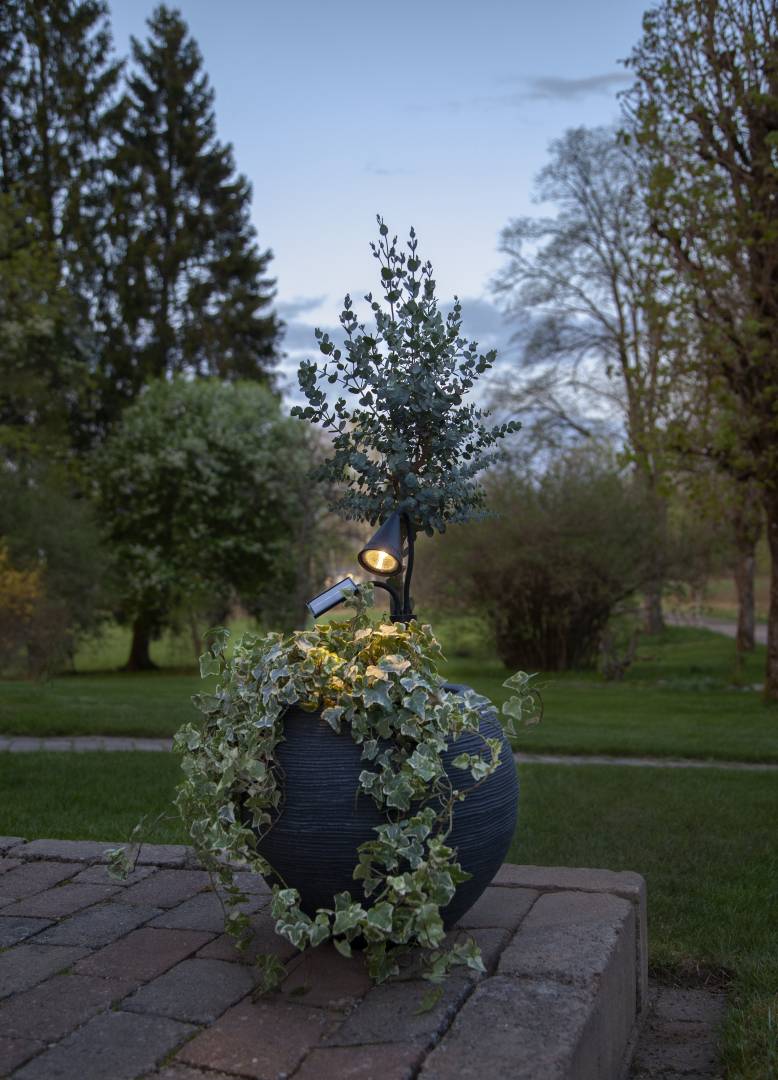 Aurinkokennovalaisin spottivalaisin pensaiden valaistukseen - Image 5