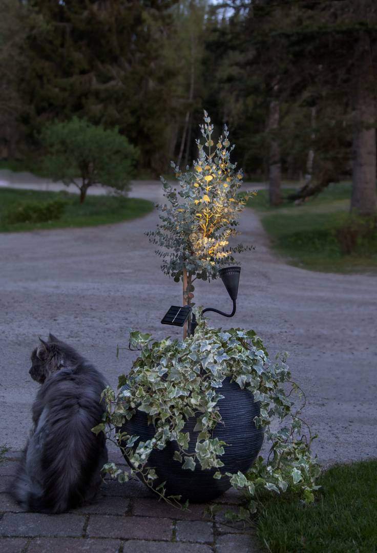 Aurinkokennovalaisin spottivalaisin pensaiden valaistukseen - Image 6