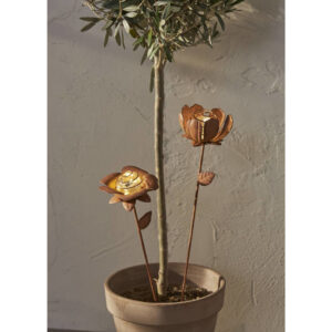 Aurinkokennovalaisin Flowers ruoste (2 kpl)