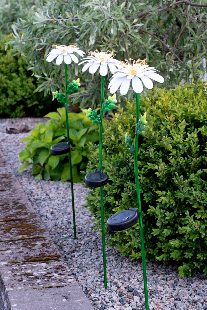 Aurinkokennovalaisin Daisy 77cm - Image 5