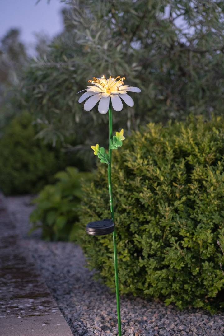 Aurinkokennovalaisin Daisy 77cm - Image 6