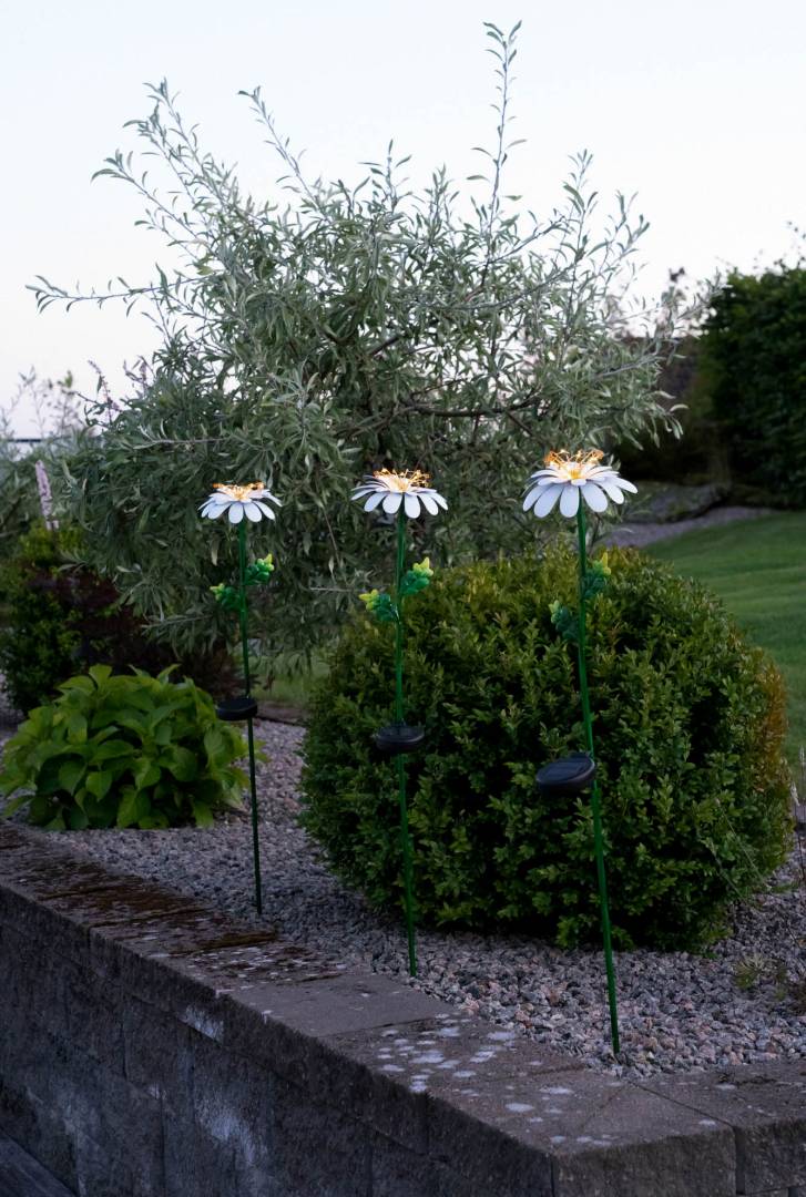 Aurinkokennovalaisin Daisy 77cm - Image 7