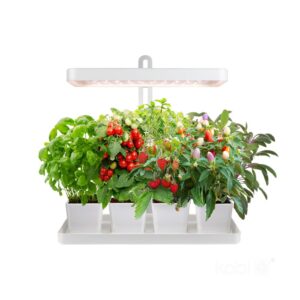 LED kasvivalaisin Bloom 20W 3500K