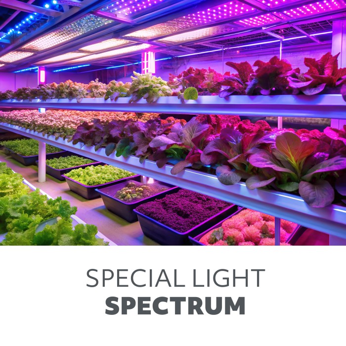 LED kasvivalaisin Bloom 20W 3500K - Image 7