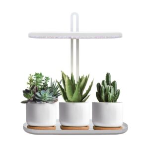 LED kasvivalaisin Bloom 12W 4500K