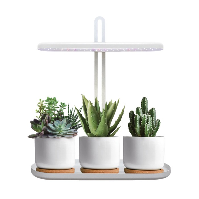 LED kasvivalaisin Bloom 12W 4500K